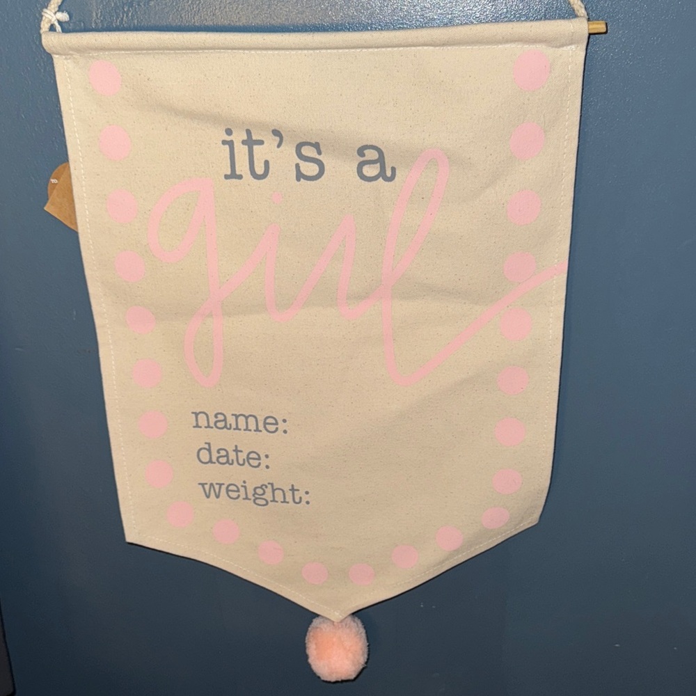Mud Pie It's a Girl Banner - Pink and Cream